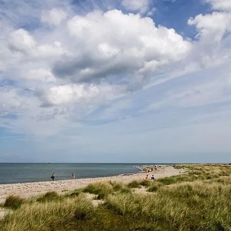 Schoenes-ferienhaus-mit-garten-mid-century-moebeln-in-strand-naehe-avendorf Holiday home
